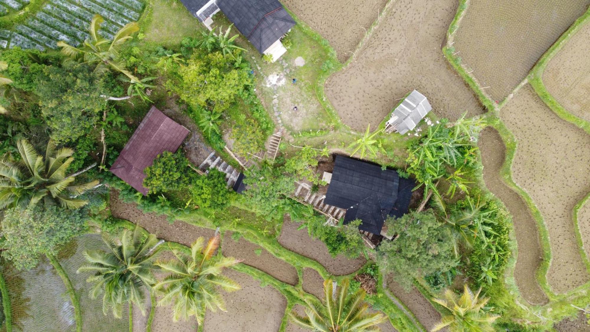 Nea Cottage Lombok Tetebatu Exterior photo