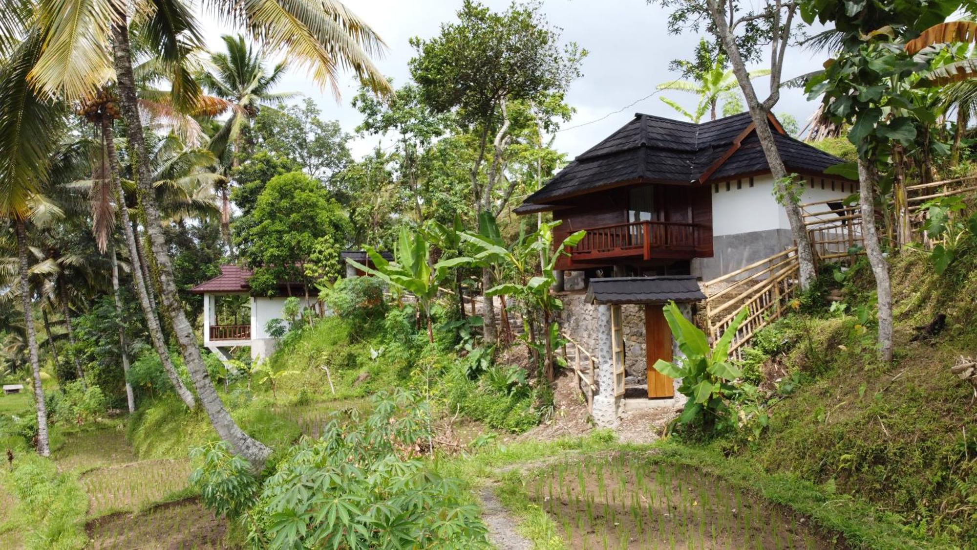 Nea Cottage Lombok Tetebatu Exterior photo