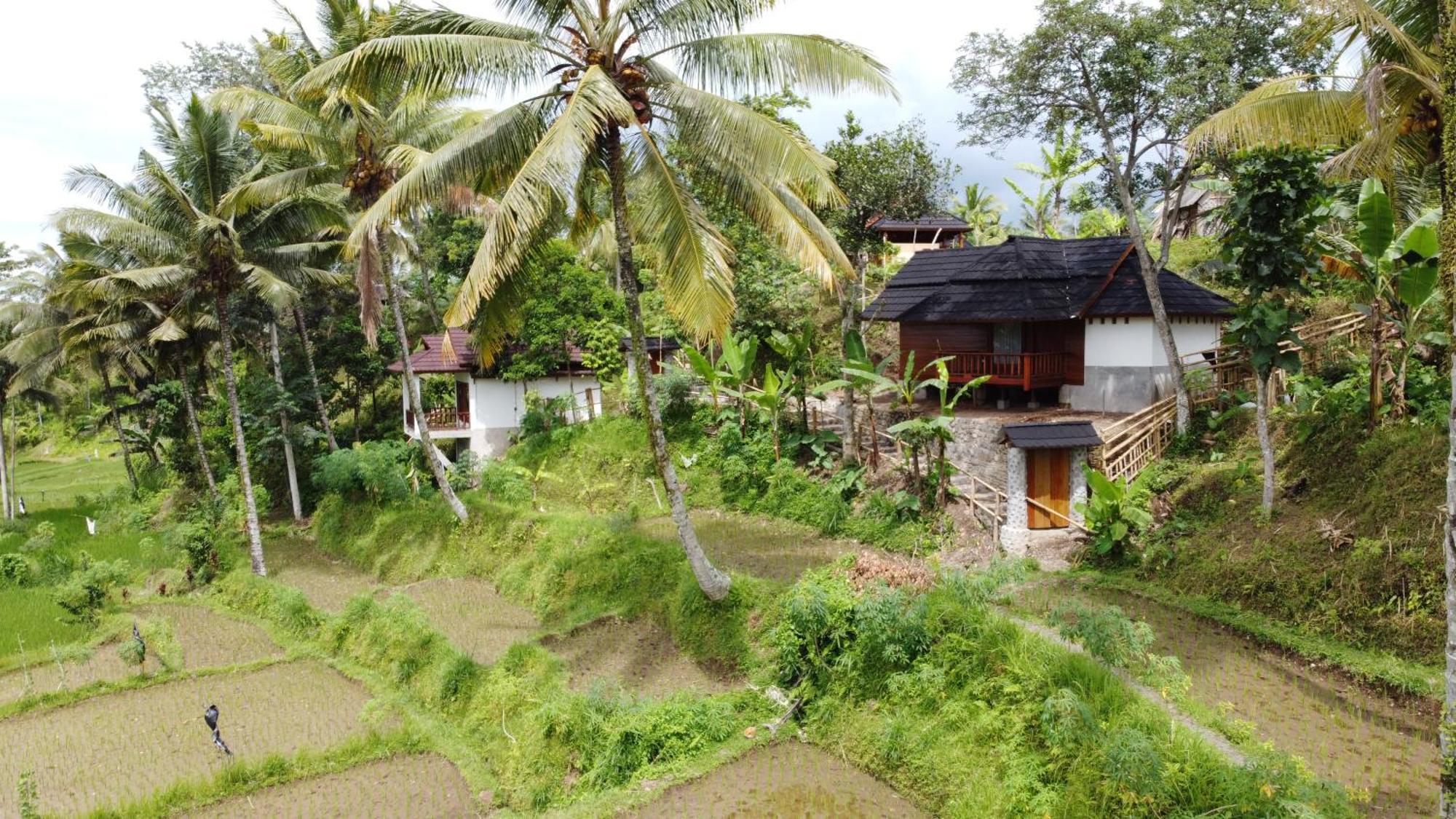 Nea Cottage Lombok Tetebatu Exterior photo