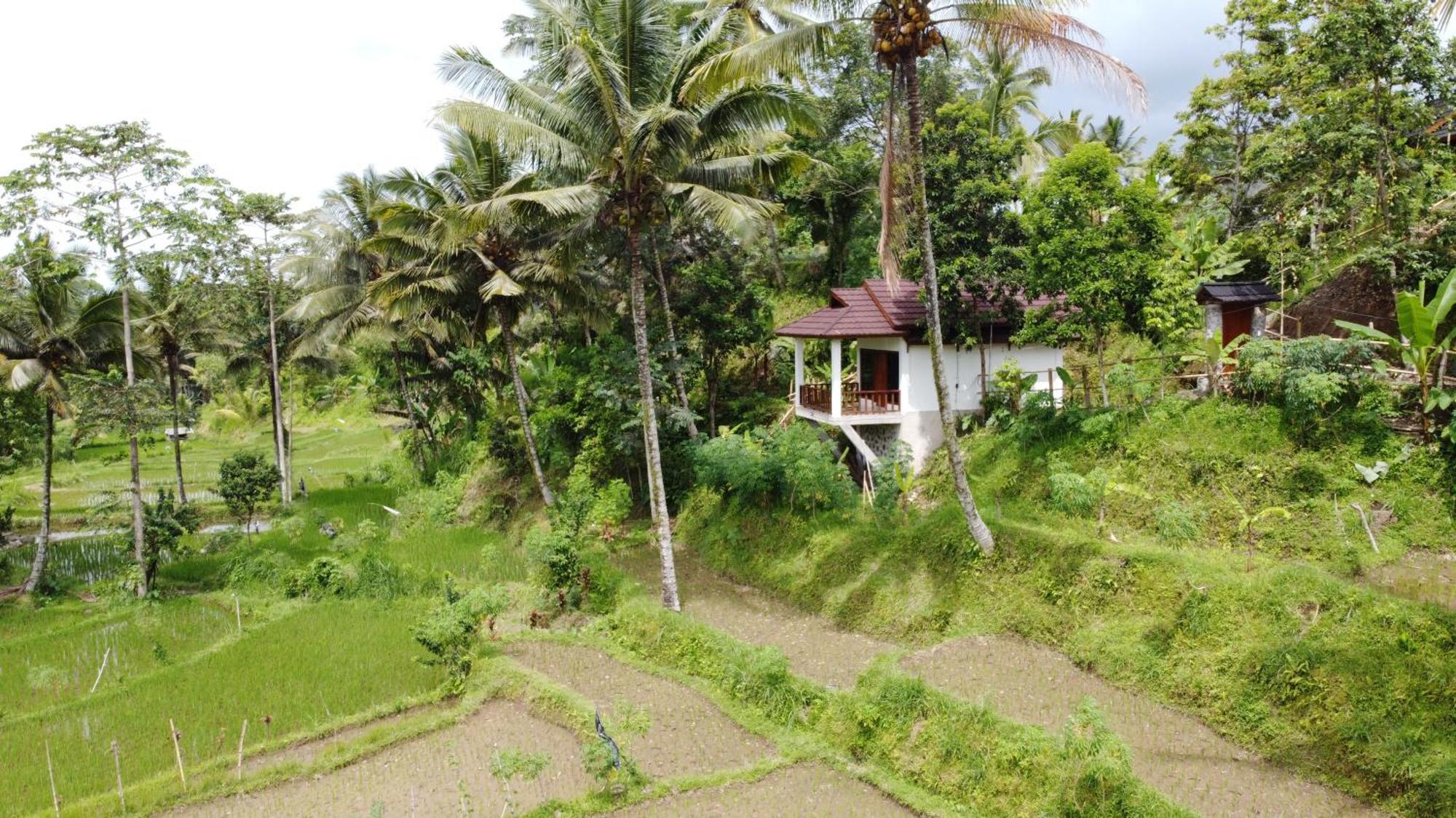 Nea Cottage Lombok Tetebatu Exterior photo
